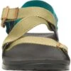 Chaco Lowdown Sandal - Men's
